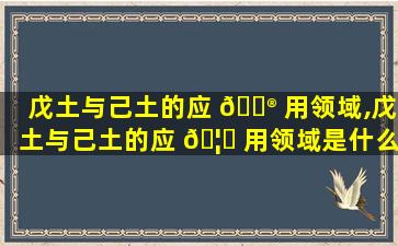 戊土与己土的应 💮 用领域,戊土与己土的应 🦟 用领域是什么